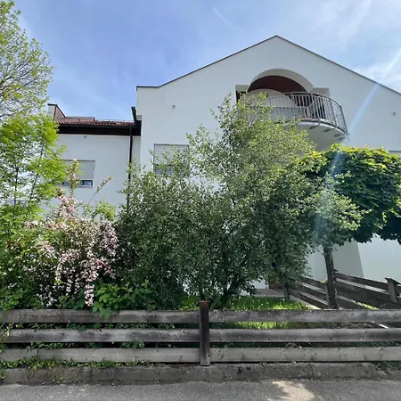 Palmen Direkt In Appartement