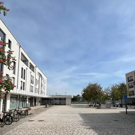 Palmen Direkt In Appartement